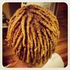 Double Strand twist starter locs & golden blonde color